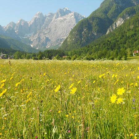 Affittacamere Krajnc Malborghetto Valbruna Εξωτερικό φωτογραφία